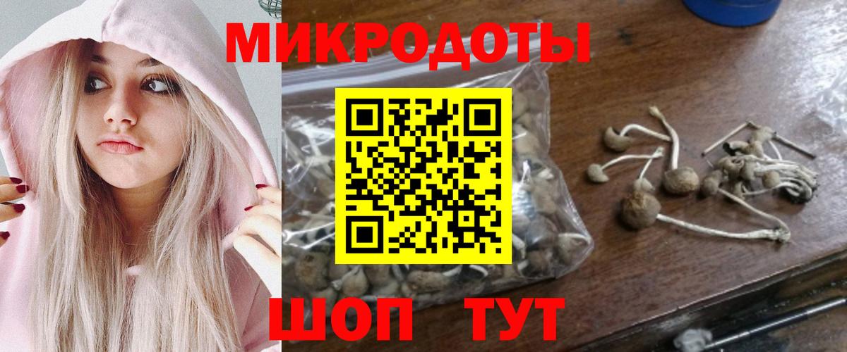 Тавда  Галлюциногенные грибы ЛСД  продажа наркотиков  Галлюциногенные грибы Magic Shrooms  Вход с VPN 