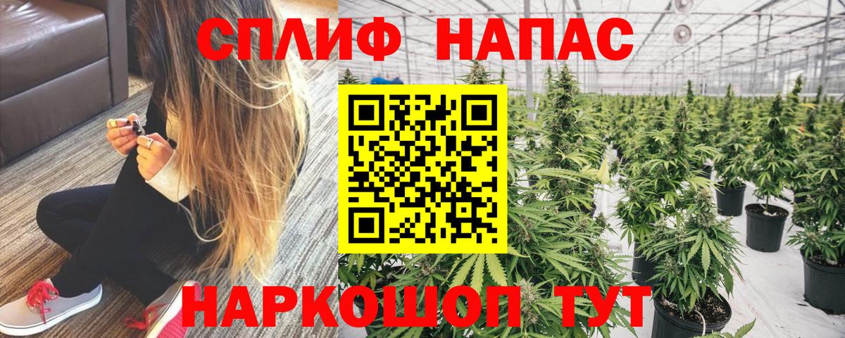 Тавда  Бошки Шишки Ganja  Бошки Шишки план  Шишки марихуана ГИДРОПОН  Вход с VPN  Бошки марихуана White Widow 